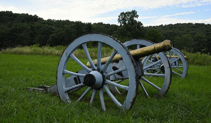 Valley Forge cannon